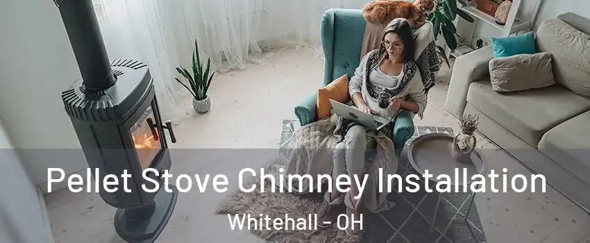  Pellet Stove Chimney Installation Whitehall - OH