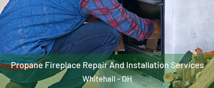  Propane Fireplace Repair And Installation Services Whitehall - OH